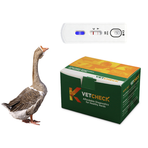 Kit de Prueba <span class=keywords><strong>ELISA</strong></span> para la Detección de Anticuerpos del Virus de la Enfermedad de Newcastle (NDV) en Aves de Corral, para Diagnóstico Veterinario Profesional en Granjas Avícolas - Product Image 4