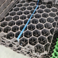 Grille d'herbe en plastique Grille d'allée Pavé Polymère HDPE Geocell Pavé d'herbe Paddock Géocell texturé/Grille d'herbe