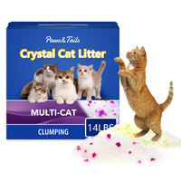Vente en gros d'accessoires pour animaux de compagnie Litière pour chat en gel de silice Litière pour chat en cristal avec boîte en papier