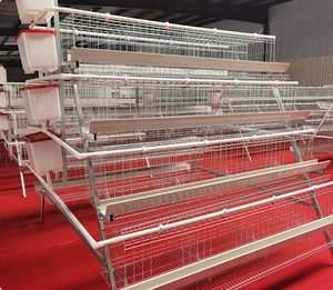 Nueva Jaula Automática para Gallinas Ponedoras, Diseño de Gallinero Galvanizado, Tipo 3/4 Niveles, Jaula Multifuncional - Product Image 6