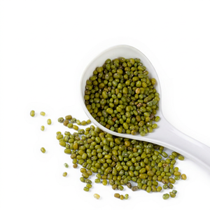 Fresh Indian <b>Green</b> Mung <b>Beans</b> Premium Grade Agricultural Produce for Global Wholesale and Export Markets - Product Image 1