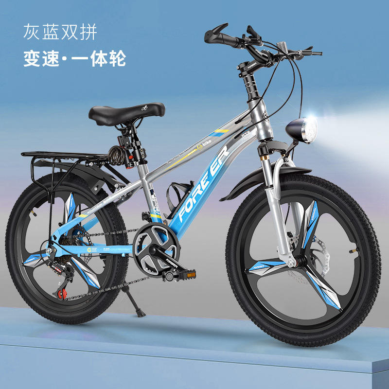 Gris-bleu (roue à rayons à une vitesse)