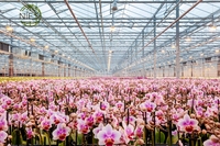 NIF Largement utilisé de qualité supérieure bambou orchidée treillis fleur bâtons orchidée support bâton avec clips