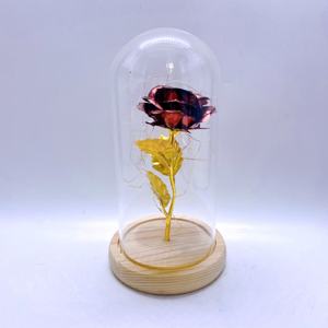 ग्लास गुलाब के गुंबद में हमेशा के लिए लंबे समय तक स्थायी अमर संरक्षित गुलाब के गुम्बद में गुलाब के गुंबद में - Product Image 2