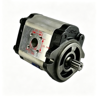 Chaolutong 0009812512 Pompe à engrenages hydraulique 11 dents pour chariot élévateur Linde HT30D/HT25D/HT35D, pièces de rechange, garantie 6 mois, neuf d'usine