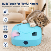 Mainan Kucing Anti Gores Aman Tahan Lama Tidak Beracun Langsung dari Pabrik untuk Anak Kucing, Mainan Interaktif Aman untuk Hewan Peliharaan, Desain Otomatis 7 Lubang