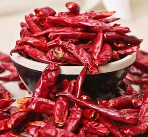 Fabricante fornecer qualidade premium chili seco temperado china seca vermelho chili