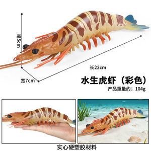 โมเดลจำลองกุ้งสำหรับเด็ก yxs: กุ้งมังกร, กุ้ง, ปูเสือ, กุ้งลายจุด, กุ้งทะเล - Product Image 3