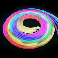 Bande LED néon tressée RGB SPI adressable programmable DC5V pour éclairage artisanal portable DIY