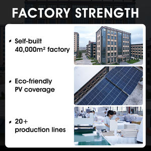 Exhibidor de Relojes Automático Personalizado con Cubierta Transparente de Acrílico y Caja de Madera para Enrollar Relojes con Rotación de 360 Grados - Product Image 2