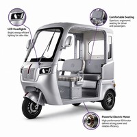 Triciclo Eléctrico de 3 Ruedas Directo de Fábrica en China, Doble Asiento, Faro LED, 1000W, Motor sin Escobillas, para Personas Mayores y Familias