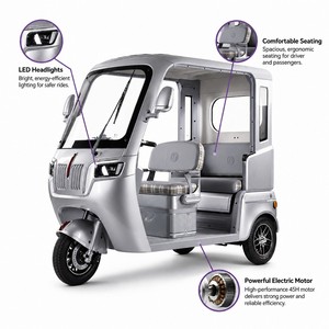 China Factory Direct 3 Wheel Electric Tricycle Double Seat LED Headlight 1000W Brushless <strong>E</strong> Trike Elderly Family - Product Image 2