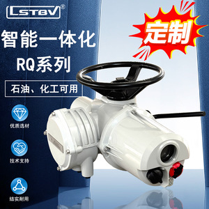Actuador eléctrico Leicester Rq, estándar nacional para la industria petrolera y química - Product Image 2