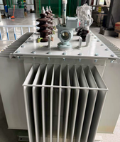 Transformateurs immergés dans l'huile Copper S22-M-800/10