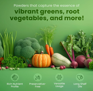 Approvisionnement en vrac en poudre d'extrait de Panax <span class=keywords><strong>Notoginseng</strong></span> sauvage biologique 10% Améliore le bien-être Remèdes à base de plantes - Sans gluten Emballage sous vide en fût - Product Image 6