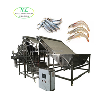 Nieuwe Hotsale Commerciële Automatische Zeevruchten Sorteermachine SUS304 RVS Hoge Capaciteit Motorlager Koploze Garnalen