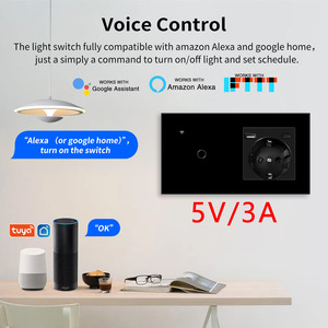 Interruptor Inteligente Zigbee Modelo 157 con Carga Rápida de 20W, Enchufe Europeo, 10A 16A AC100-240V, Tuya Smart WiFi - Product Image 4