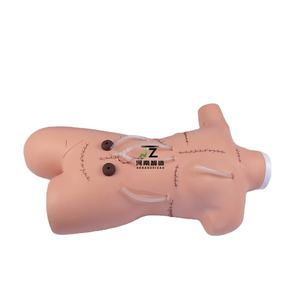 Modelo de entrenamiento médico humano sutura quirúrgica y vendaje maniquí de enfermería - Product Image 4