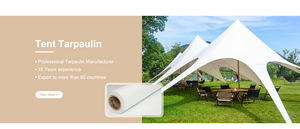 Оптовая продажа: Китайский водонепроницаемый антистатический тканый гладкий полотно средней плотности 1000D x 1000D с ПВХ-покрытием в рулонах для палаток - Product Image 4