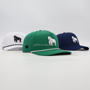 OEM Bulk Unisex 3D Embroidery Quick Dry Athletic Snapback <b>Caps</b> Custom Baseball <b>Caps</b> Laser Cut Performance Golf Hat - Product Image 3