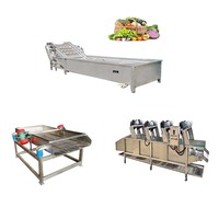 Machine multifonctionnelle entièrement automatique en acier inoxydable pour le lavage et le séchage des fruits et légumes, avec tamis vibrant pour citrons, pour la vente en gros