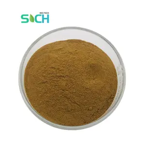 Food Grade Free Sample Radix Scrophulariae Figwort Root Extract Powder Scrophularia Extract