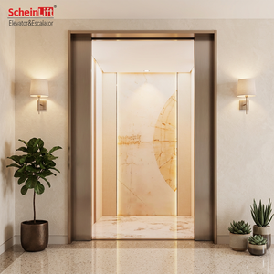 Ascenseur de luxe à <span class=keywords><strong>petit</strong></span> puits pour villa de 2 à 4 étages, personnalisable pour une esthétique intérieure sur mesure, Ascenseur Impressionniste Da Vinci - Product Image 1