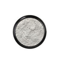 Fournisseurs de ciment réfractaire coulable, poudre d'aluminate de calcium amorphe 200 mesh pour accélérateur de ciment