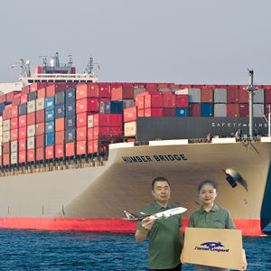 Forwarder Forest Leopard de China Envío puerta a EE. UU. Italia Amazon FBA por mar - Product Image 1