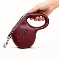 Nouvelle laisse de luxe pour animaux de compagnie, rétractable, en cuir, avec lumière LED intégrée rechargeable pour les promenades en extérieur