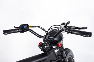 Scooter électrique avec side-car, scooter avec side-car, vélos électriques, scooters, Citycoco, motos chinoises avec side-car - Product Image 3