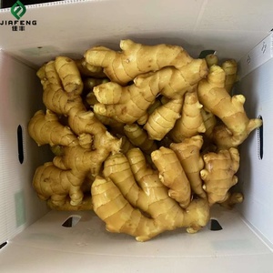 Hot bán gừng tươi bán buôn gừng tươi Chứng Khoán số lượng lớn - Product Image 5