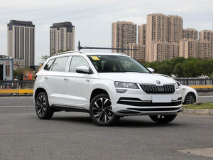 VW <span class=keywords><strong>Skoda</strong></span> Karoq 2024&2025 TSI280 Édition Premium 1549 Toit ouvrant panoramique Hayon électrique SUV Dynamique Puissant Spacieux 5 places - Product Image 3