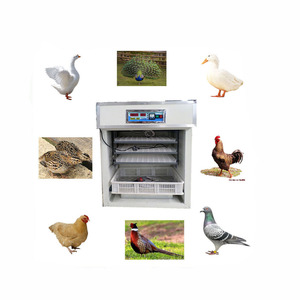 High Efficiency Customized Best Incubator for Chicken <b>Eggs</b> Chicken <b>Egg</b> Incubator for Wholesales - Product Image 1