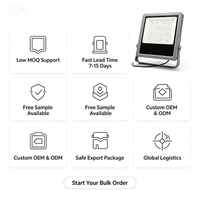 Projecteur LED professionnel de haute qualité pour extérieur et intérieur, étanche, avec corps en aluminium, indice de protection IP66, pour stades sportifs