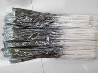 Vente en gros de plumes de queue de paon 70-80cm motif brut plume artisanat pour les spectacles carnavals arrangements floraux