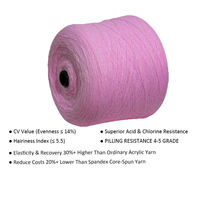 China Yarns Manufacturer Suppliers 28S/2 Dyed Color Custom 100% Acrylic Texturized Ring Spun High Tenacity Anti-Pilling Knitting