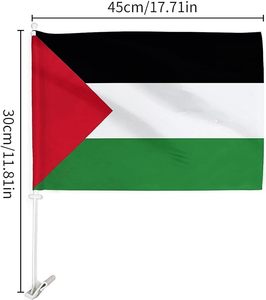 Drapeau de voiture national personnalisé en polyester mini 30*45cm avec mât pour décoration, vente en gros - Product Image 2