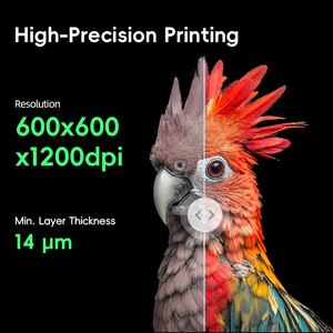 <span class=keywords><strong>Impresora</strong></span> <span class=keywords><strong>3D</strong></span> a Todo Color Multiusos para Diversas Industrias - Product Image 3