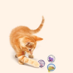 ของเล่นสัตว์เลี้ยงแบบมีเสียง ทนทานต่อการกัด เป็นมิตรกับสิ่งแวดล้อม สำหรับสุนัขและแมว ช่วยคลายความเบื่อหน่าย - Product Image 5