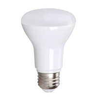 Lampe de jardin LED à économie d'énergie Wobit, vente directe usine Amérique du Nord, intensité variable, culot E26, certifiée, garantie trois ans
