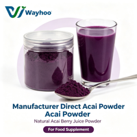 Poudre de baies d'açaï naturelle directement du fabricant, poudre de jus de baies d'açaï, complément alimentaire, extrait de poudre d'açaï