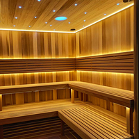 Sauna sec pour deux personnes, non toxique, pour la maison, l'extérieur, la famille, la chambre principale, la chambre d'amis, utilisation quotidienne