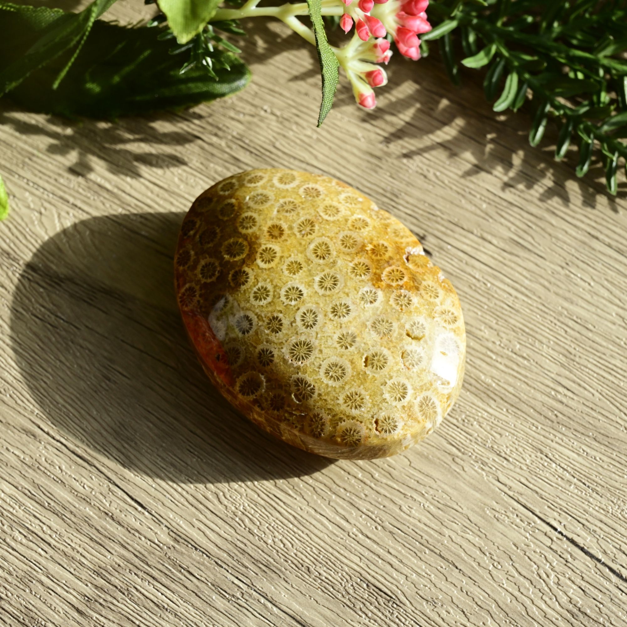 Coral Jasper plamstone