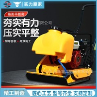 Compacteur vibrant à plaque plate à essence Shanwang, machine de compactage dynamique bidirectionnelle pour le terrassement