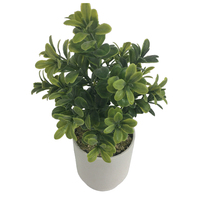 Offre Spéciale intérieur artificiel Faux arbre tropical PE matériel en plastique en pot avec d'autres plantes de fleurs décoratives pour la décoration intérieure