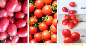 La mejor máquina para quitar semillas de cereza, fecha de alta calidad, máquina para deshuesar frutas de oliva, precio barato - Product Image 3