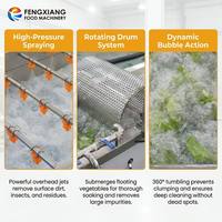 Geoptimaliseerde luchtbel fruit- en groentewasoplossing 1-3t/u industriële salade mango groentewasser met sproeispoeling