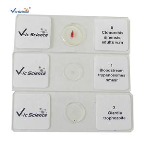 Lames préparées de parasitologie médicale pour l'apprentissage des étudiants, usage en recherche médicale, lames préparées de protozoaires de haute qualité - Product Image 1