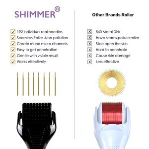 Rouleau de <span class=keywords><strong>derma</strong></span> <span class=keywords><strong>pour</strong></span> l'acupuncture, <span class=keywords><strong>pour</strong></span> la peau, la <span class=keywords><strong>barbe</strong></span> et les cheveux, 0,25 mm, microneedling, 192 aiguilles, rouleau de microneedling en titane - Product Image 6